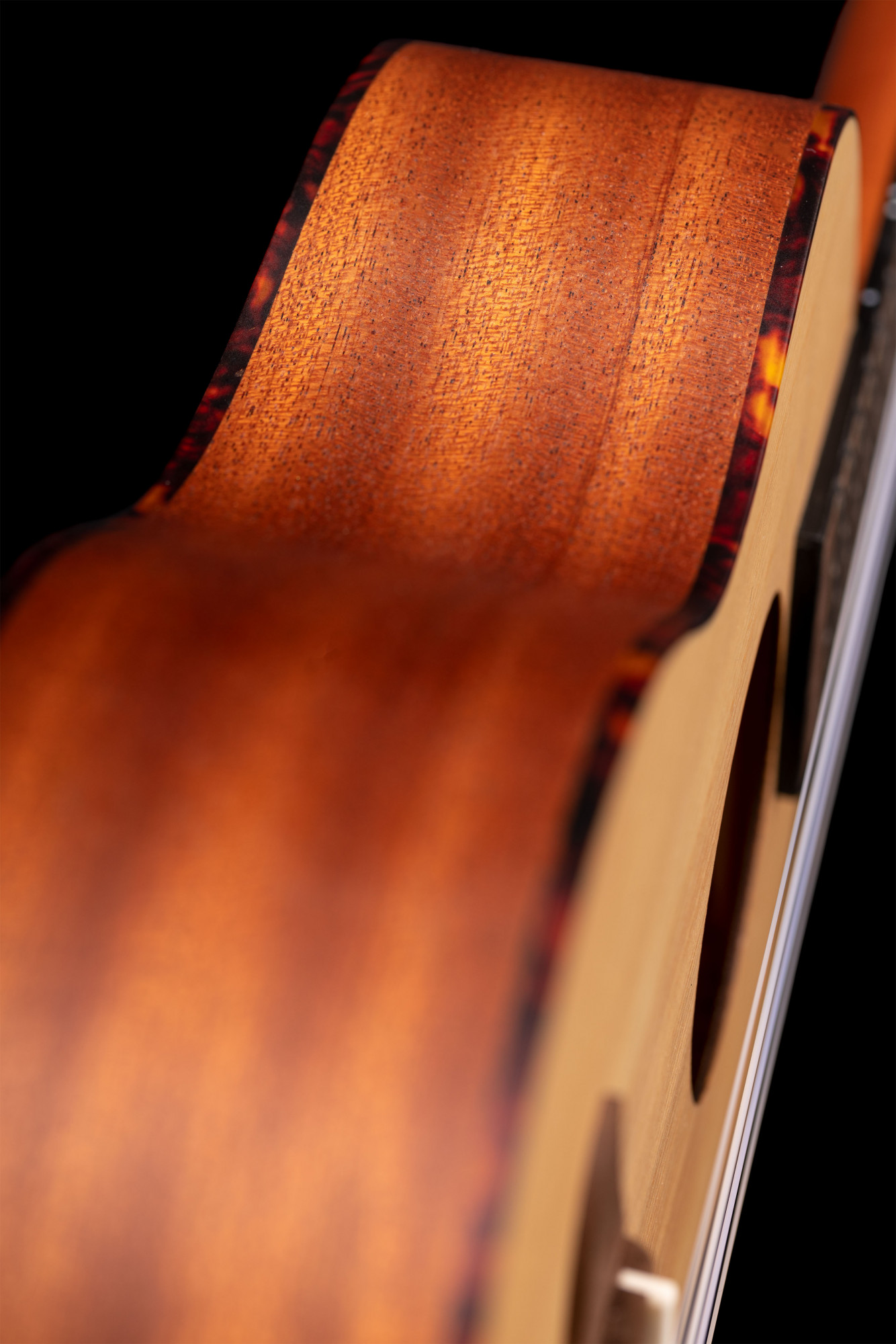 Ortega Tenor Ukulele Ortega Tenor Ukulele