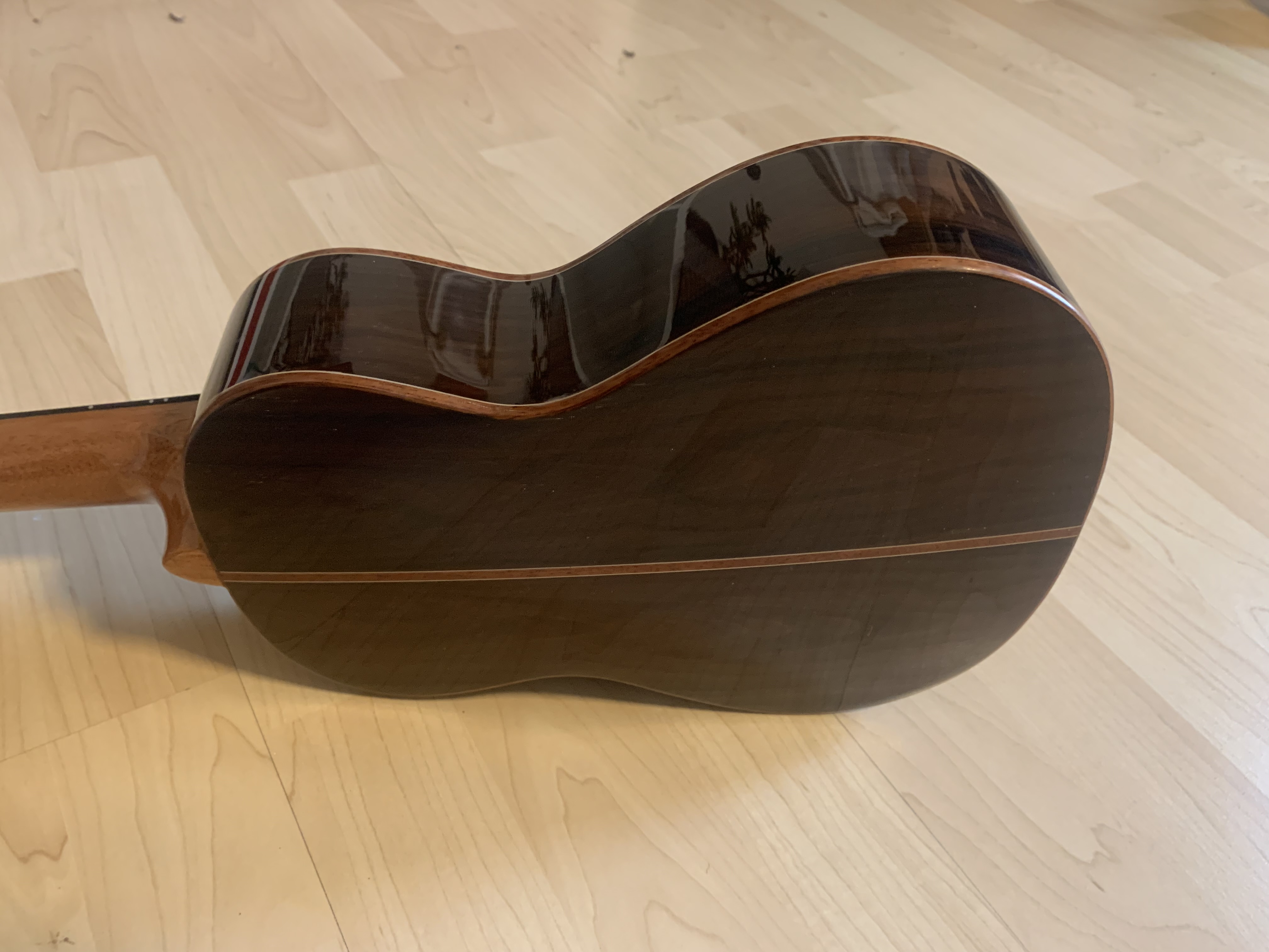 Ortega Konzert Ukulele Elite  aus Zirikote mit Tonabnehmer + Elite Gigbag