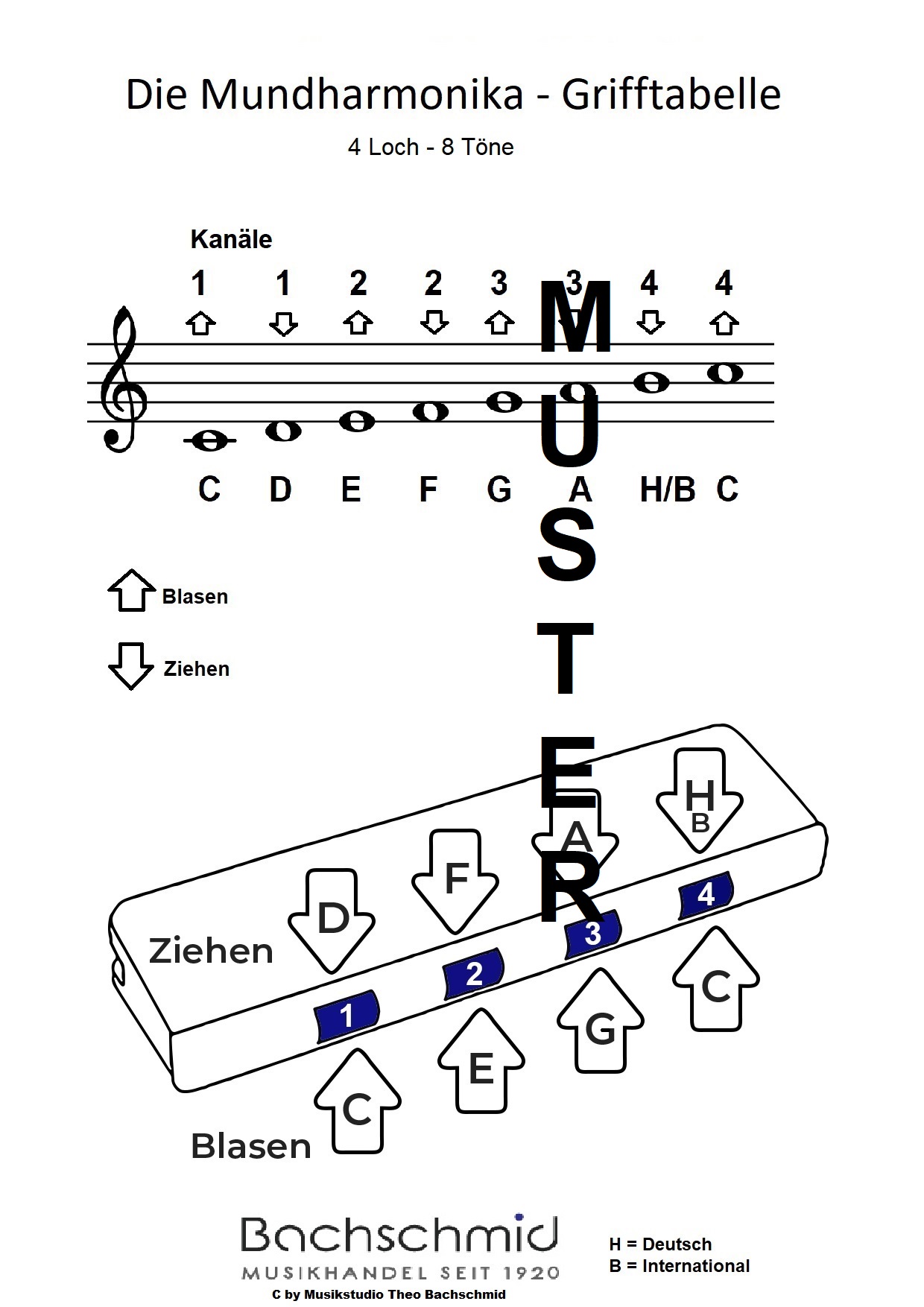 3 x Mundharmonika 4-Loch mit 8 Tönen - Ideal für Anfänger