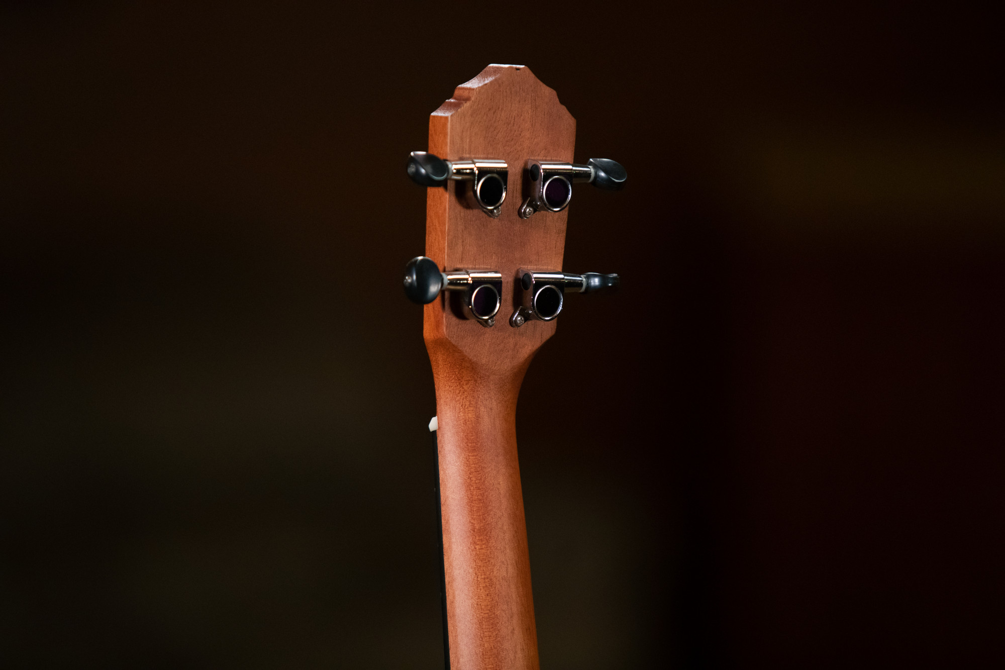 Ortega Konzert Ukulele