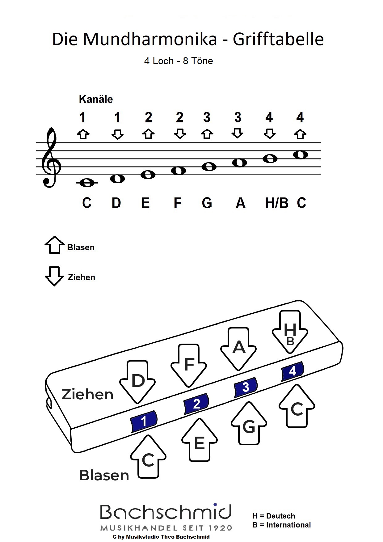 10 x Mundharmonika ***NEU*** 4 Loch 8 Töne - Ideal für den Anfang 10 x Mundharmonika ***NEU*** 4 Loch 8 Töne - Ideal für den Anfang