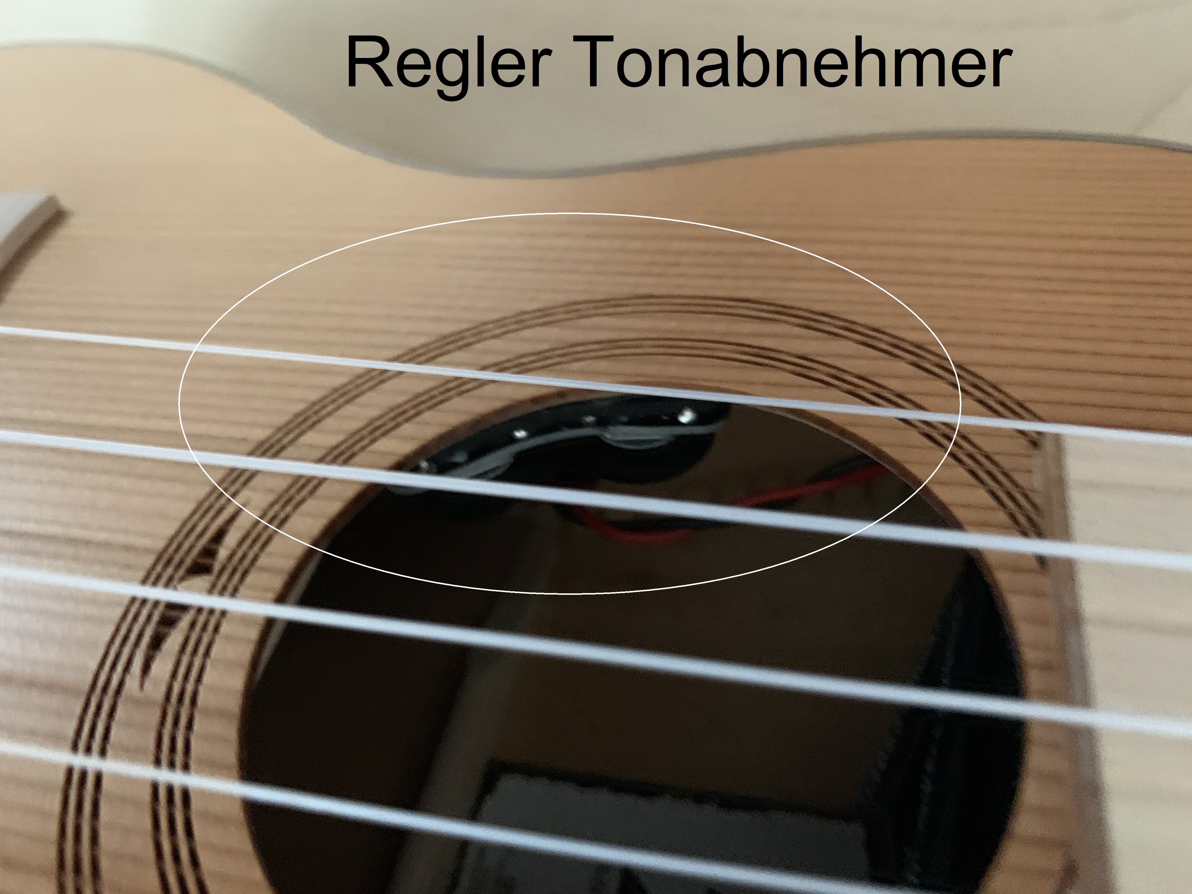 Ortega Konzert Ukulele UVP: 219.--Euro SP: 99.-- Euro mit Tonabnehmer + Gigbag