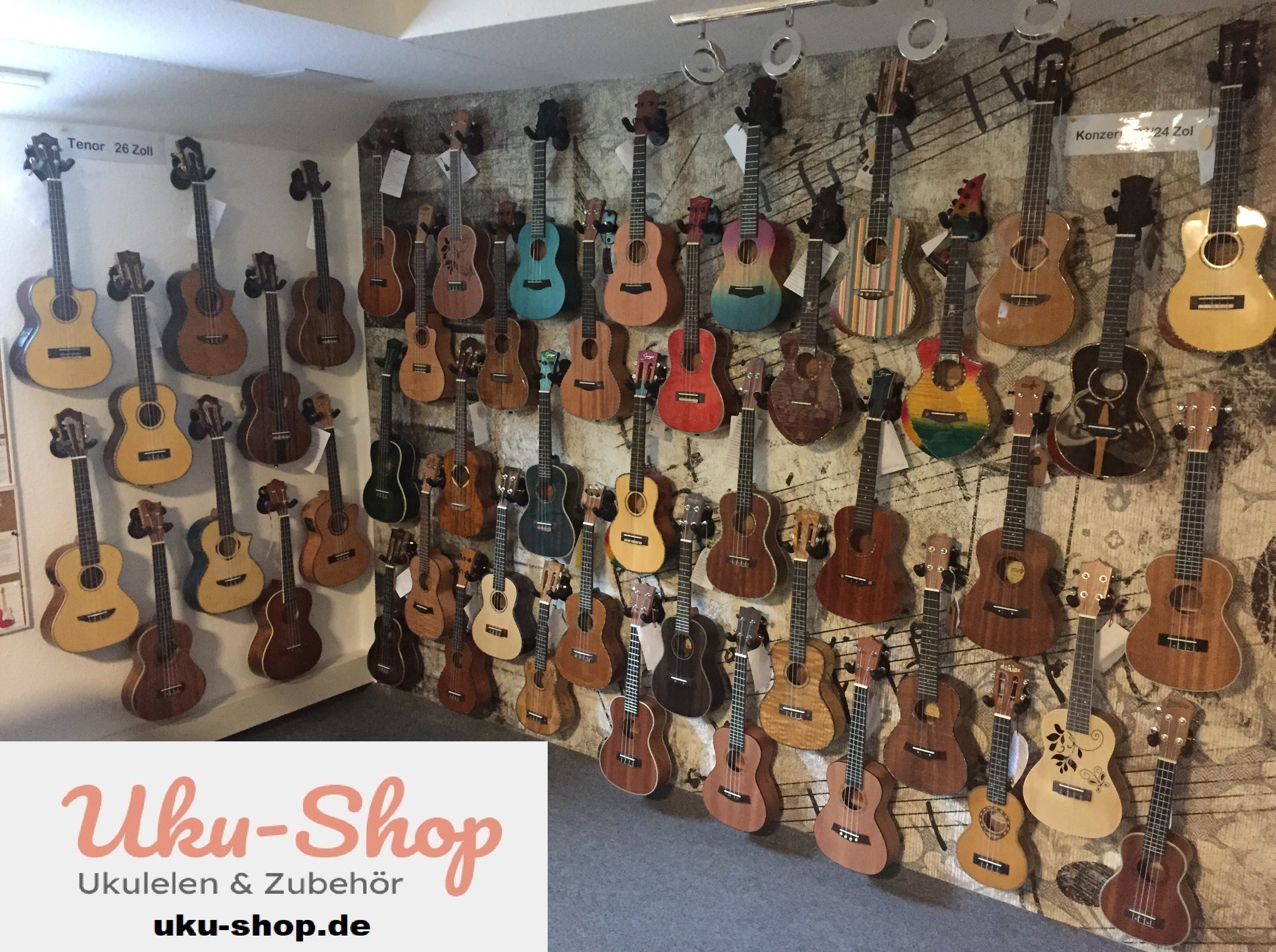 Ortega Konzert Ukulele UVP: 219.--Euro SP: 99.-- Euro mit Tonabnehmer + Gigbag