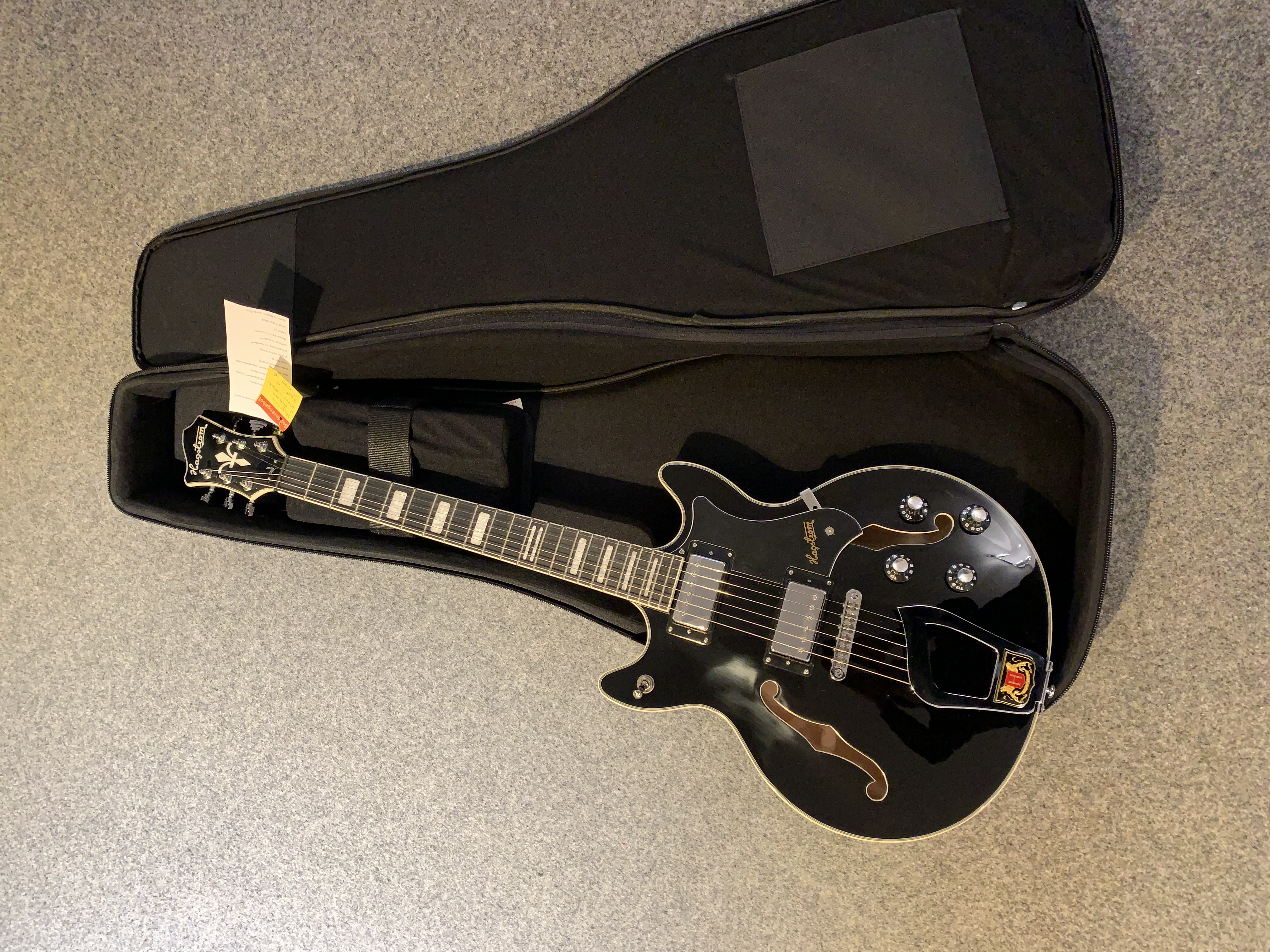 Tasche-Gigbag-Koffer für alle E-Gitarren und  für Alvar Modelle
