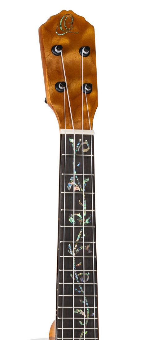 Ortega Elite Konzert Ukulele Wölkchenahorn mit Tonabnehmer + Elite Gig Bag Ortega Elite Konzert Ukulele Wölkchenahorn mit Tonabnehmer + Elite Gig Bag
