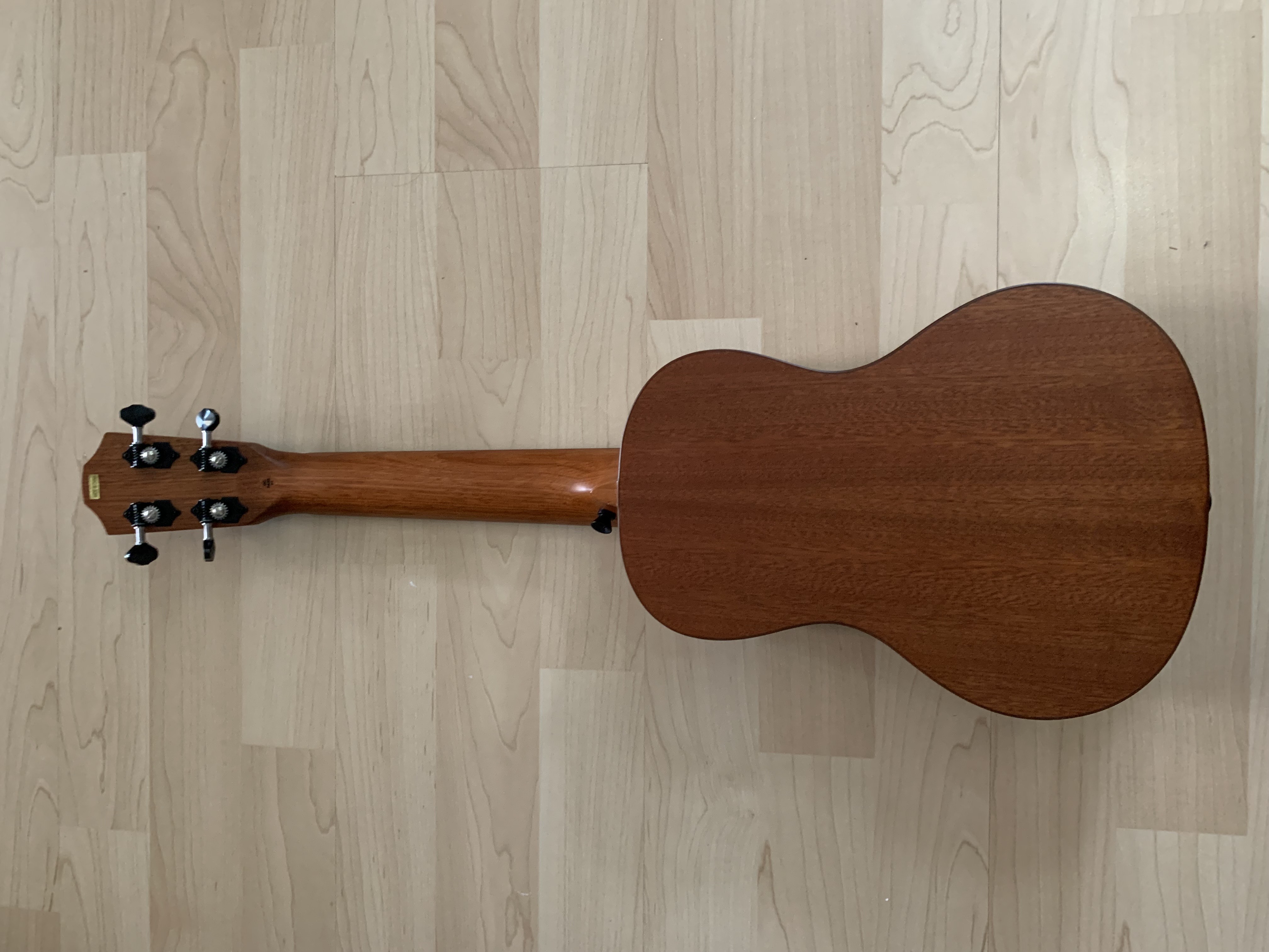 Konzert Ukulele mit massiver Sitka Fichtendecke