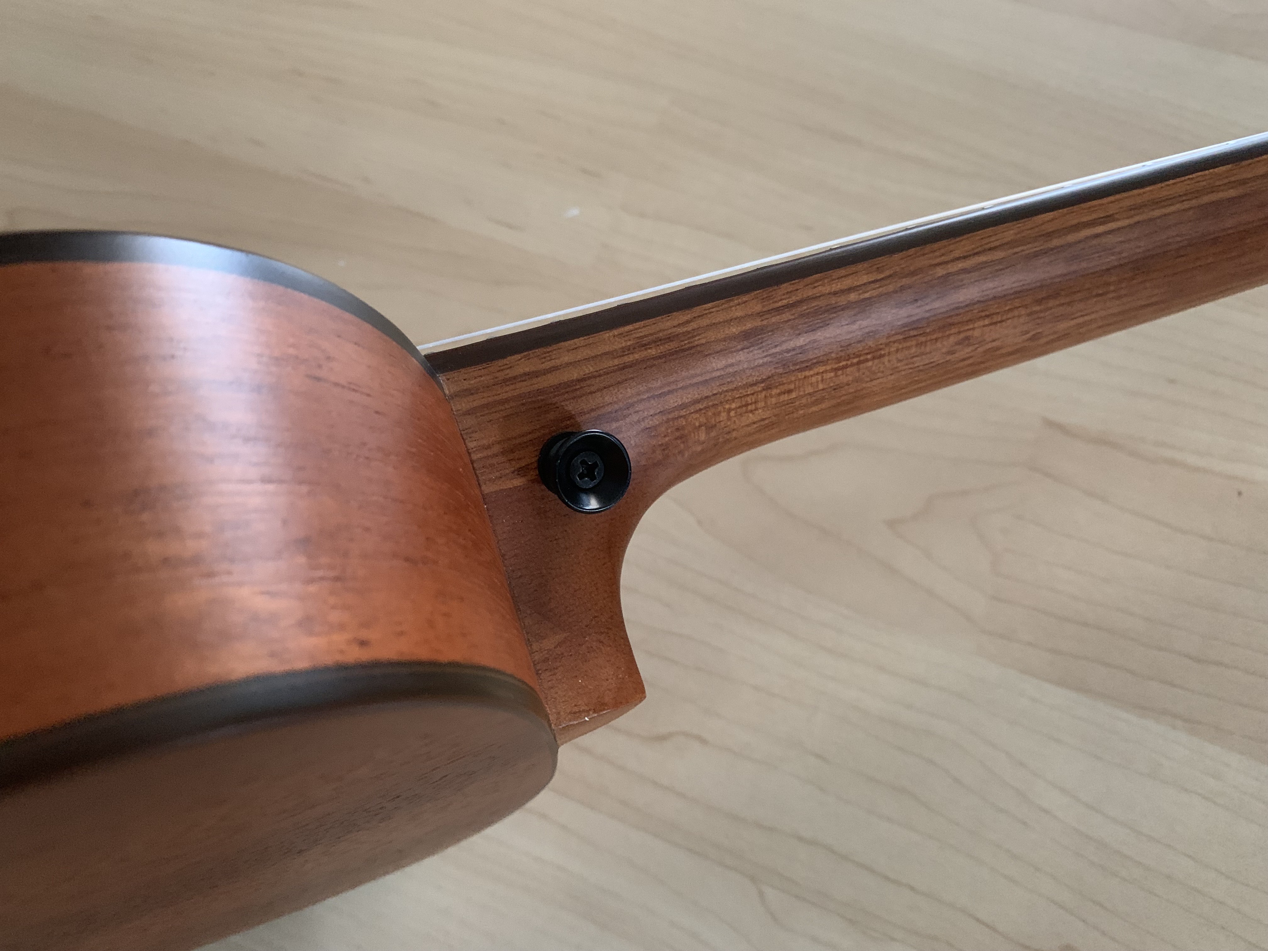 Konzert Ukulele mit massiver Sitka Fichtendecke