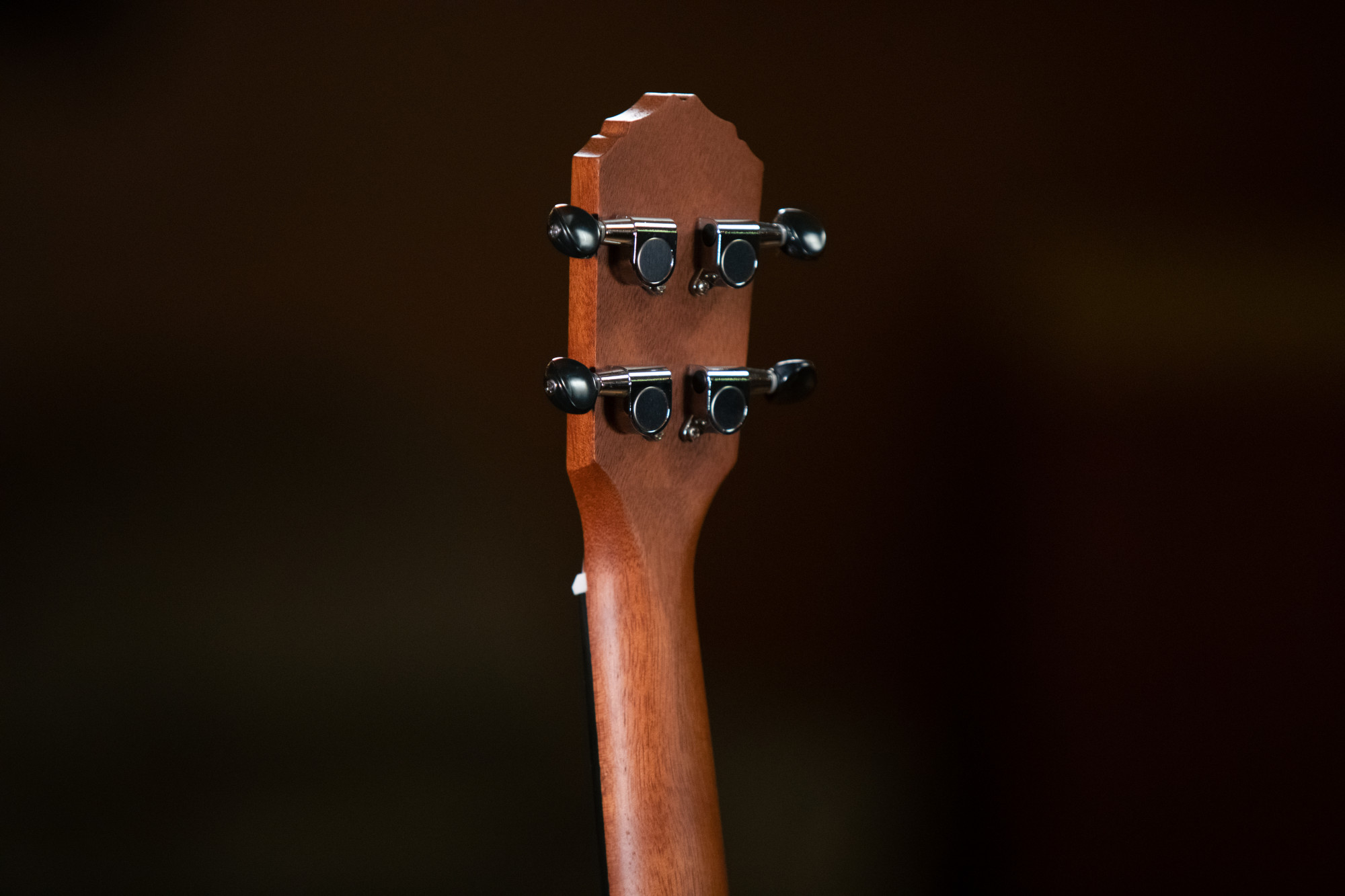 Ortega Tenor Ukulele Ortega Tenor Ukulele