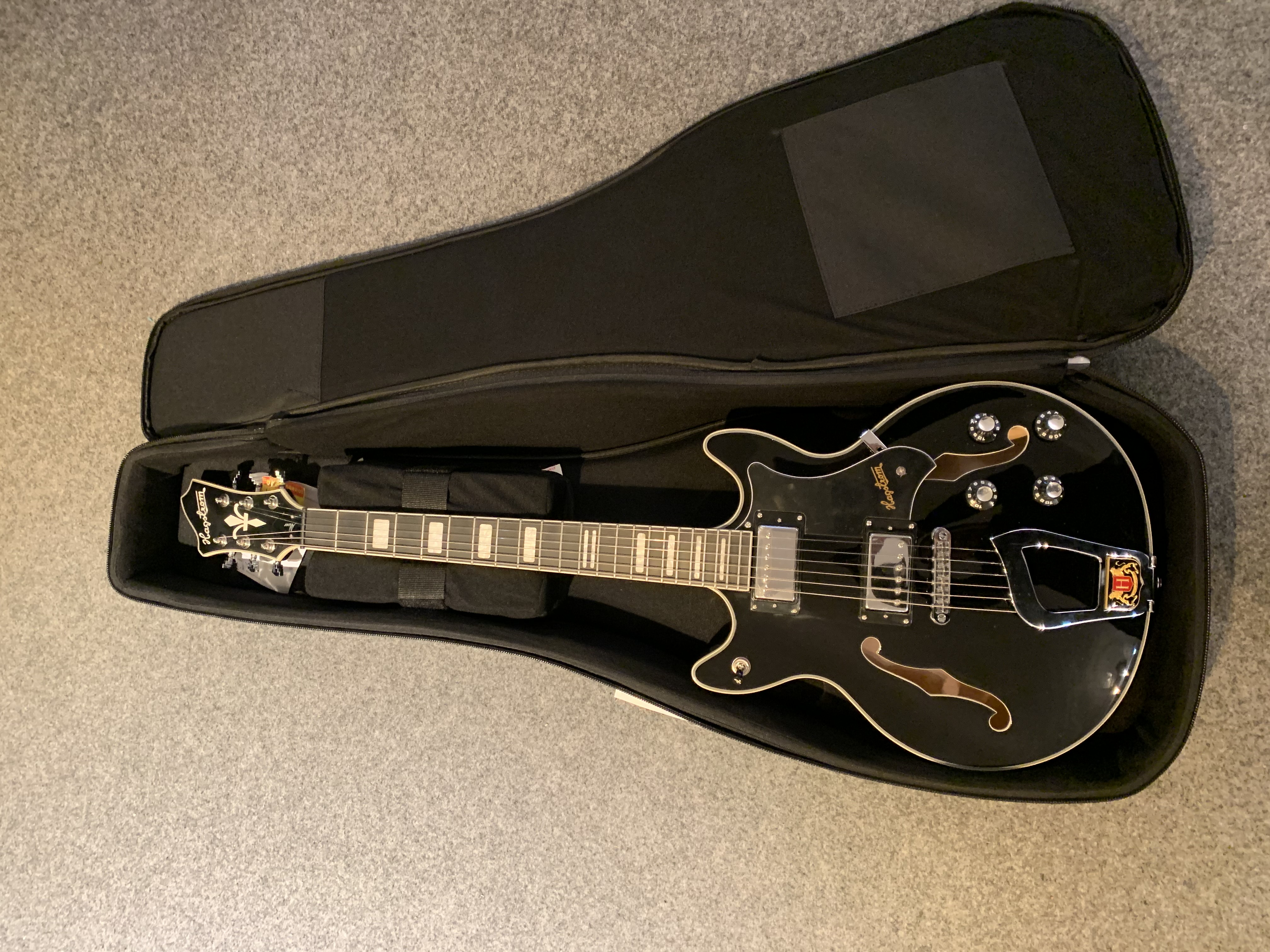 Tasche-Gigbag-Koffer für alle E-Gitarren und  für Alvar Modelle