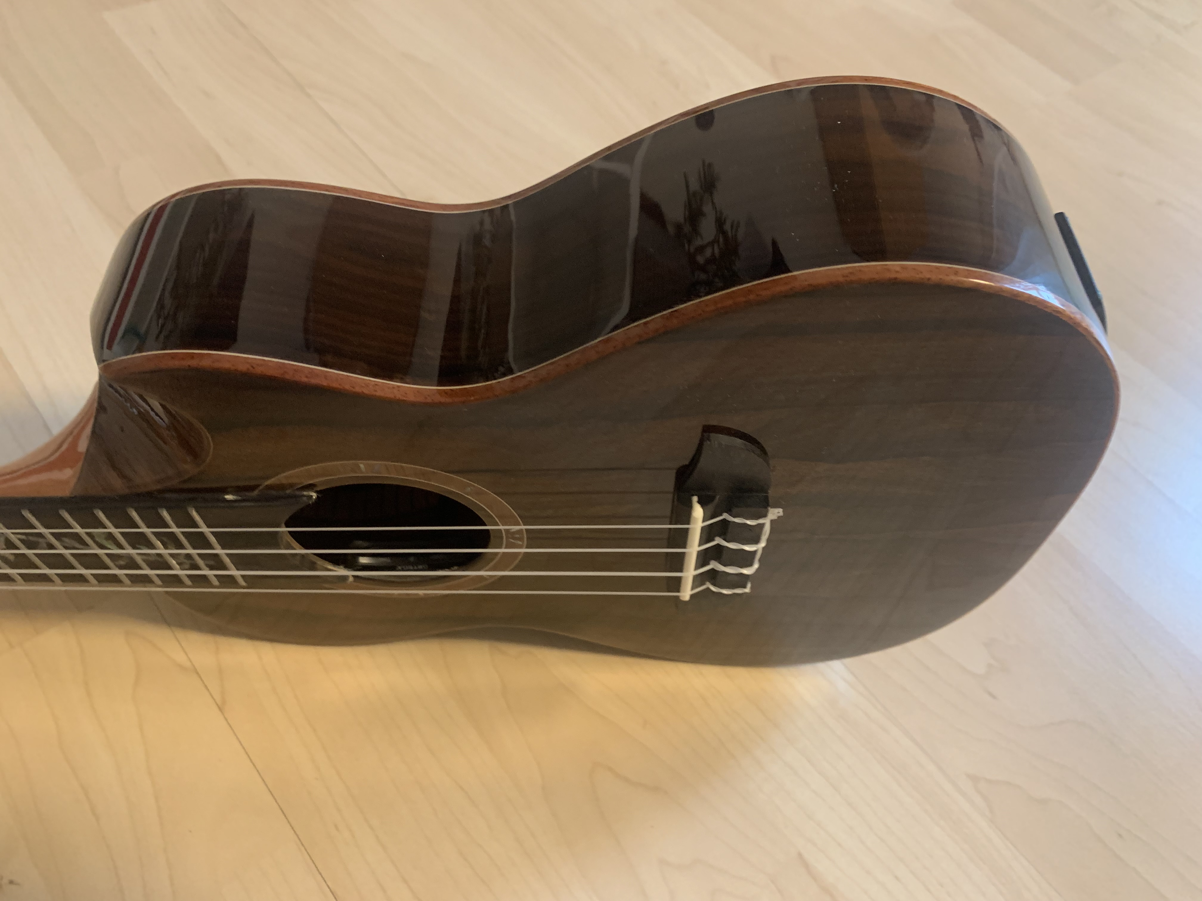 Ortega Konzert Ukulele Elite  aus Zirikote mit Tonabnehmer + Elite Gigbag